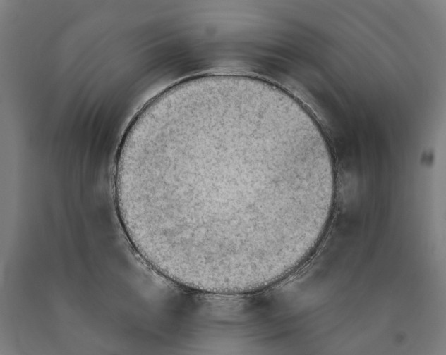 X0000090600856200707311200