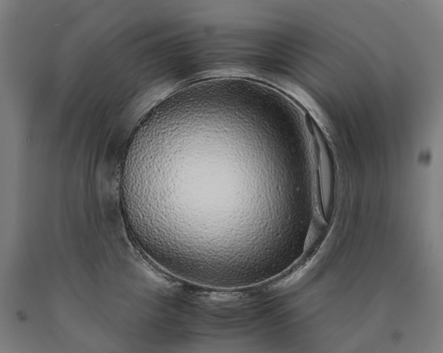 X0000090600857200707311200