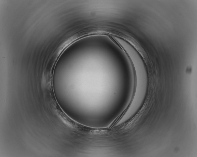 X0000090600858200707311200