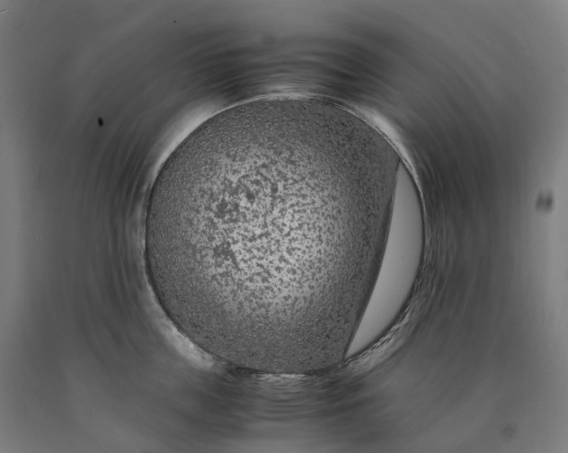 X0000090600859200707311200