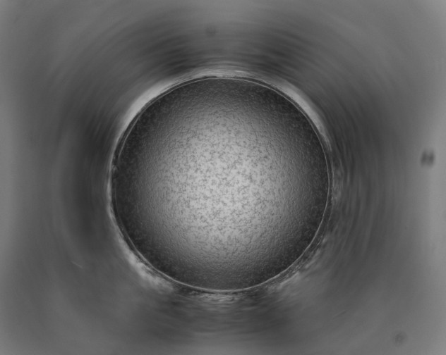 X0000090600861200707311200