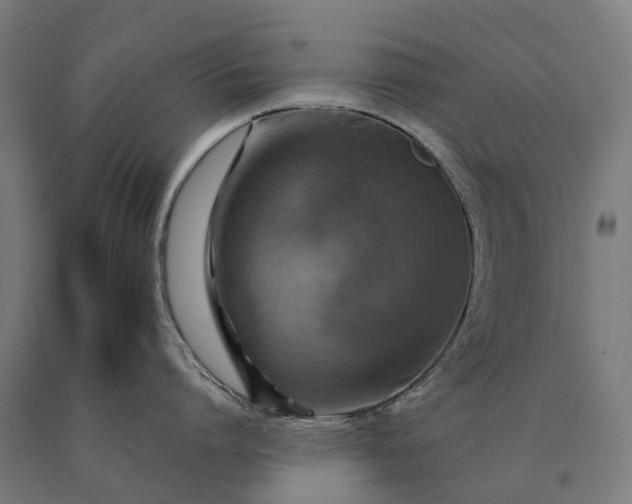 X0000090600864200707311200