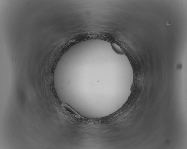 X0000090600865200707311159