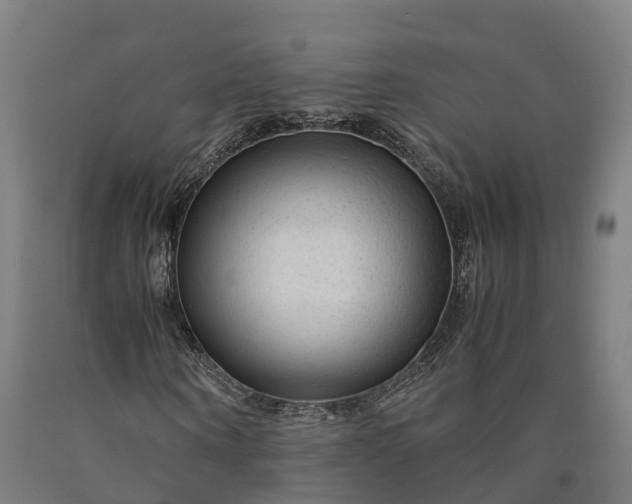 X0000090600866200707311159