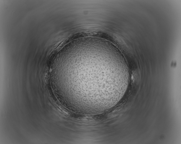 X0000090600867200707311159