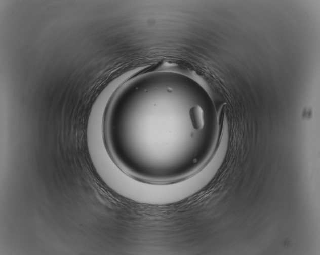 X0000090600868200707311159