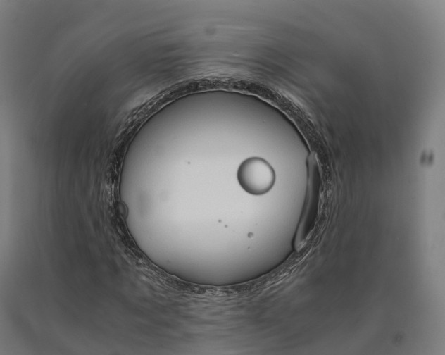 X0000090600869200707311159