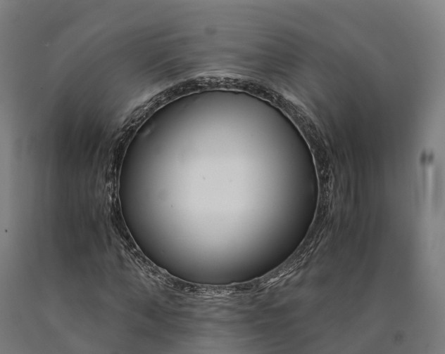 X0000090600870200707311159