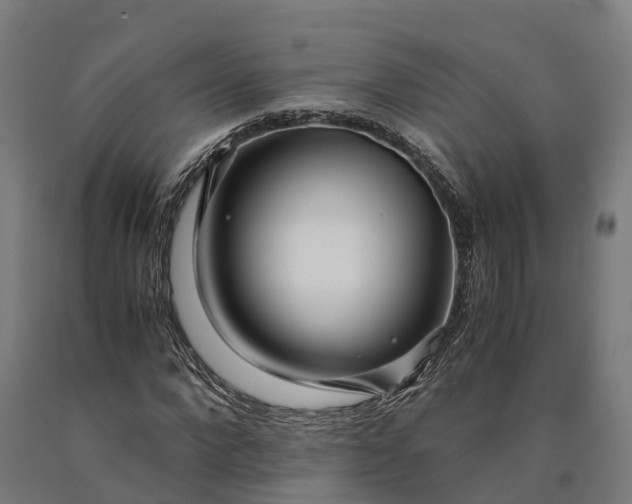 X0000090600872200707311159