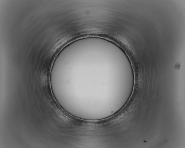 X0000090600873200707311159