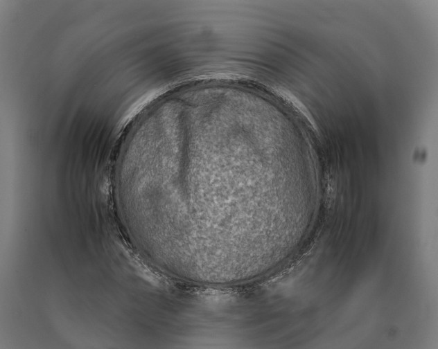 X0000090600874200707311159