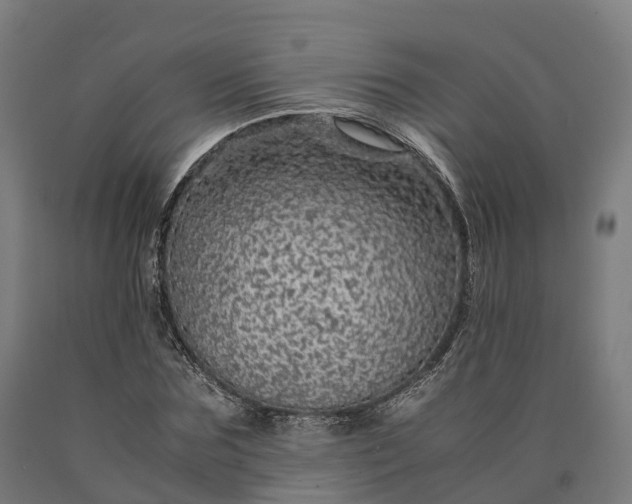 X0000090600875200707311159