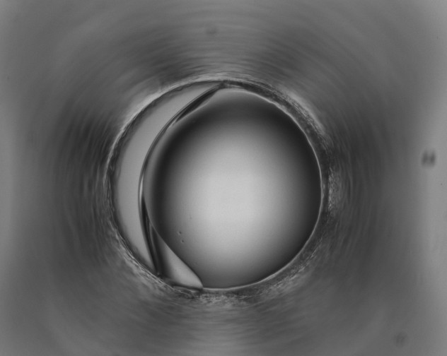 X0000090600876200707311159