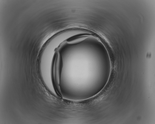 X0000090600877200707311159