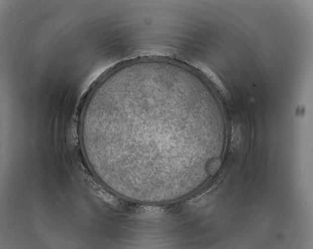 X0000090600878200707311159