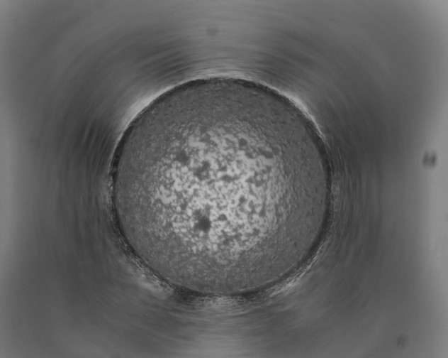 X0000090600879200707311159