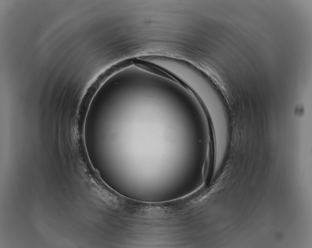 X0000090600880200707311159