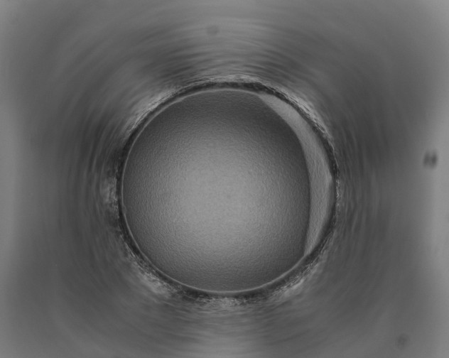 X0000090600881200707311159