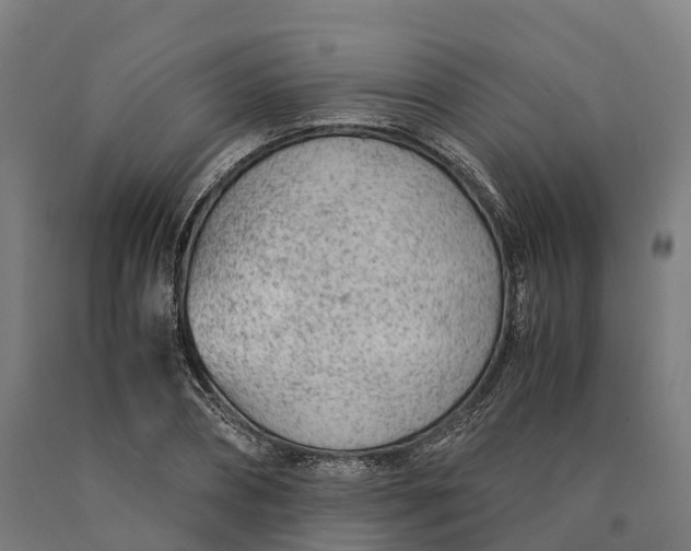 X0000090600882200707311159