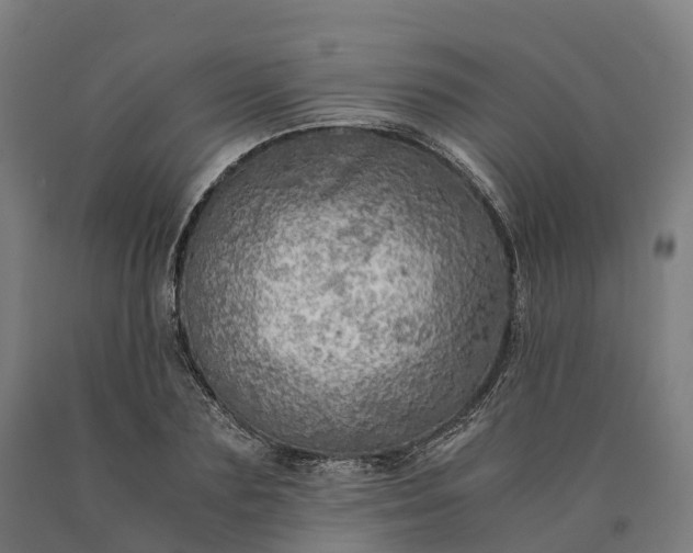 X0000090600883200707311159