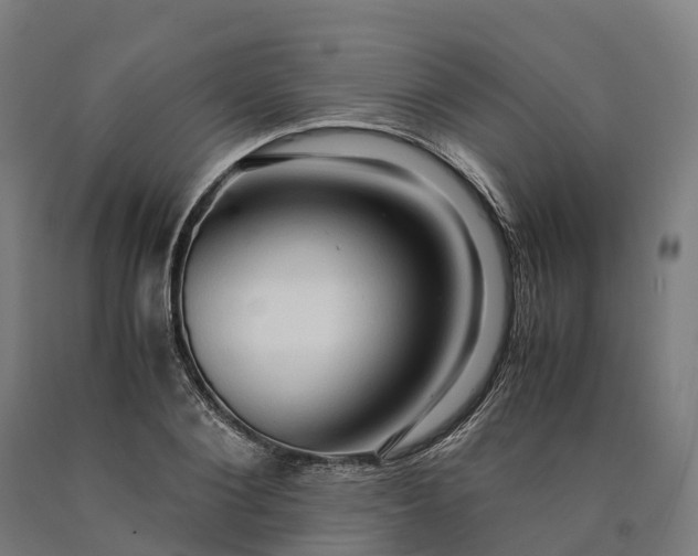 X0000090600884200707311159