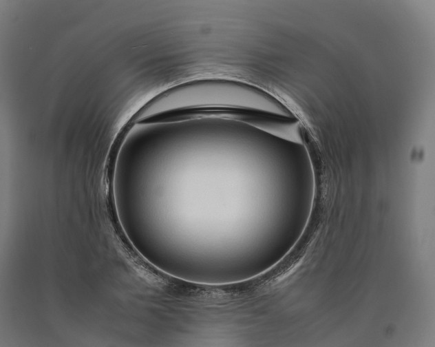 X0000090600885200707311159