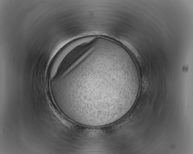 X0000090600886200707311159