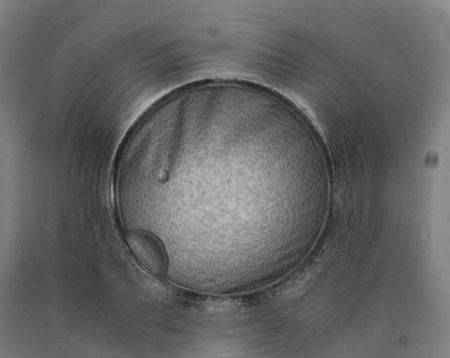 X0000090600887200707311159