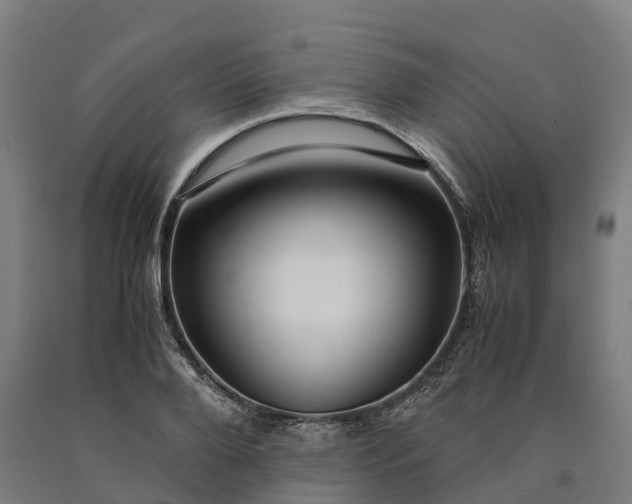 X0000090600888200707311159