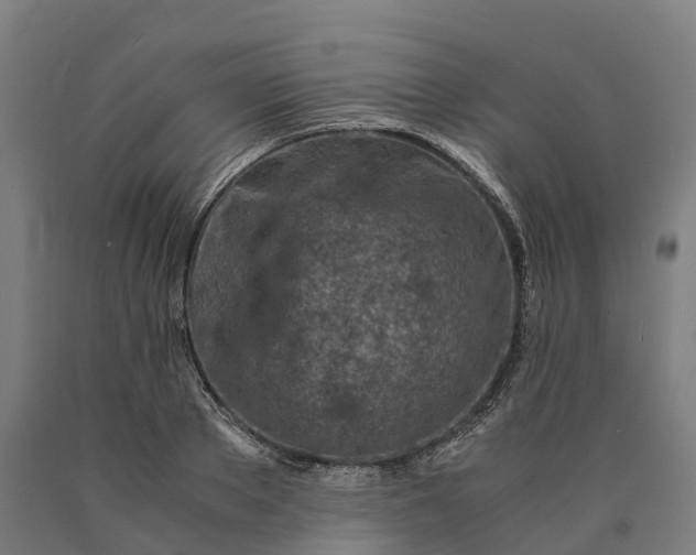 X0000090600889200707311159