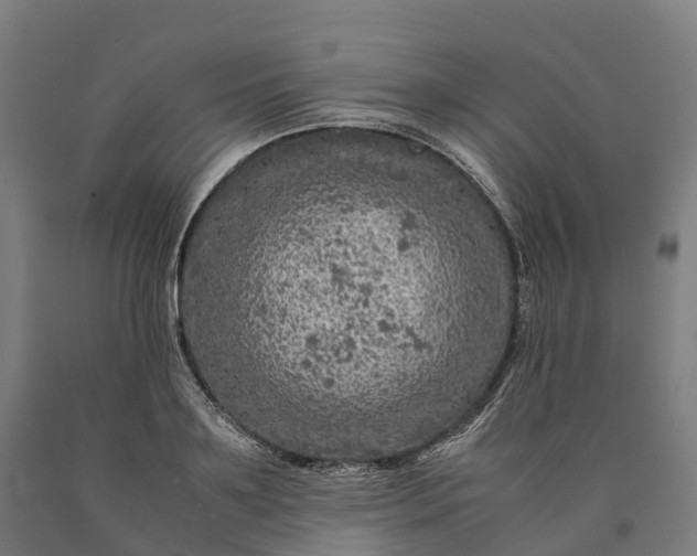 X0000090600891200707311159