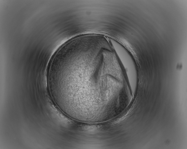 X0000090600892200707311159