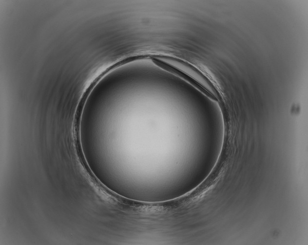 X0000090600893200707311159