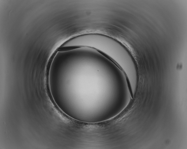 X0000090600894200707311159