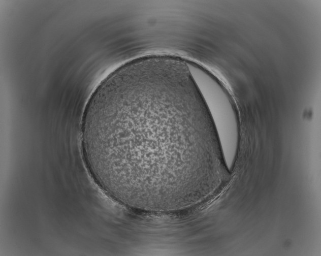 X0000090600895200707311159