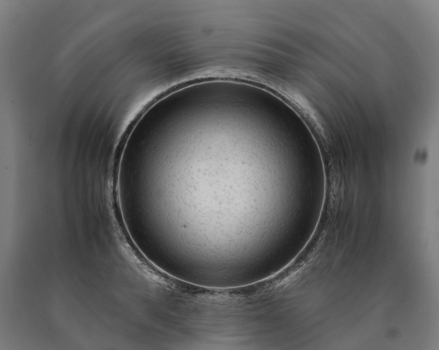 X0000090600896200707311159