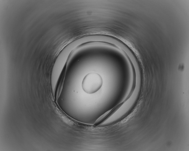 X0000090600897200707311159