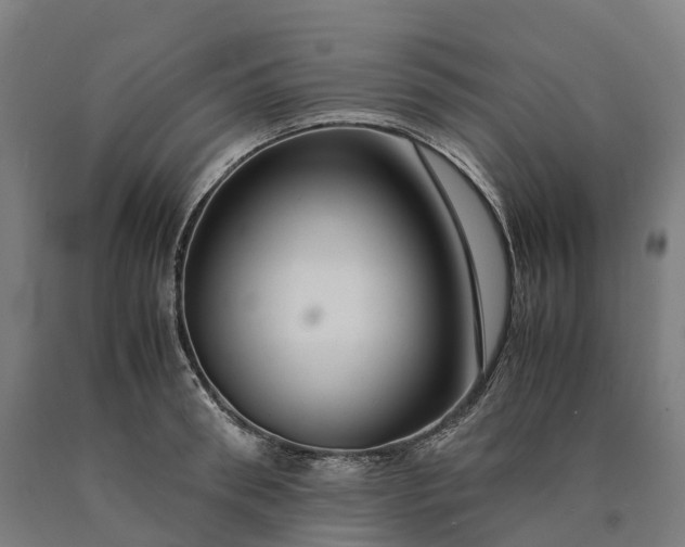 X0000090600898200707311159