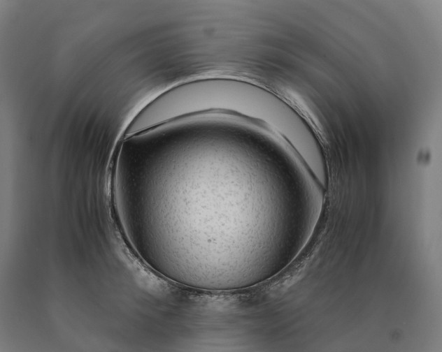 X0000090600900200707311159