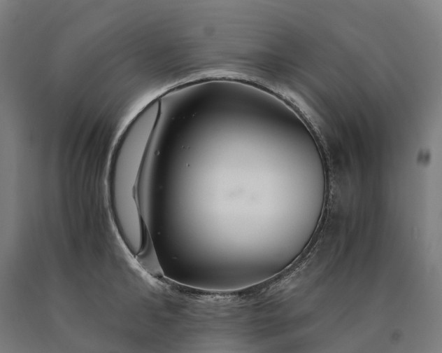 X0000090600902200707311159