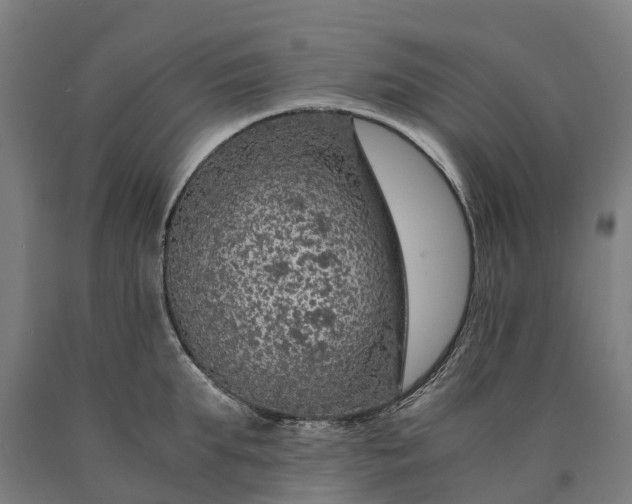 X0000090600903200707311159