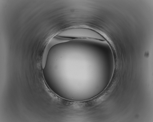 X0000090600905200707311159