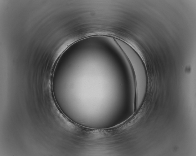 X0000090600906200707311159