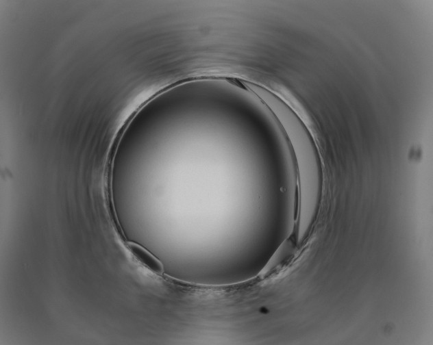 X0000090600909200707311159