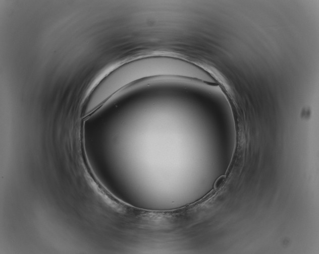 X0000090600910200707311159