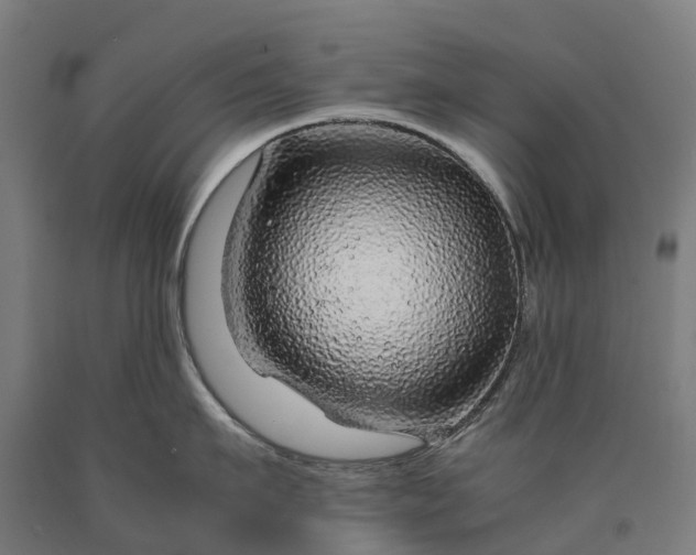 X0000090600911200707311159