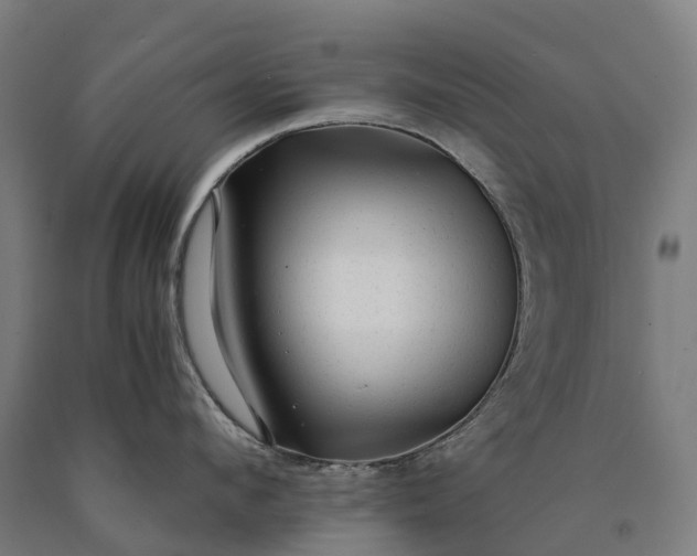 X0000090600912200707311159