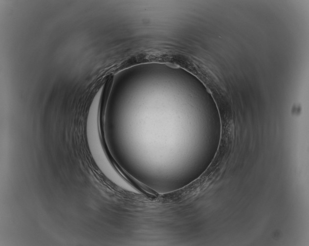 X0000090600914200707311158