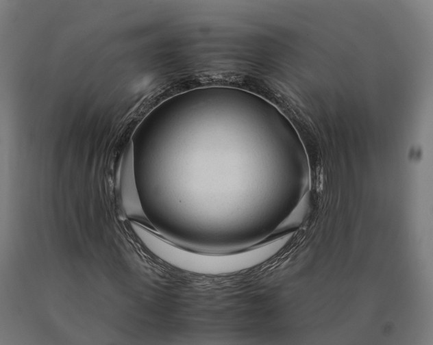 X0000090600915200707311158