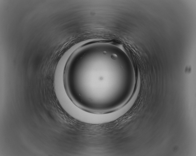 X0000090600916200707311158